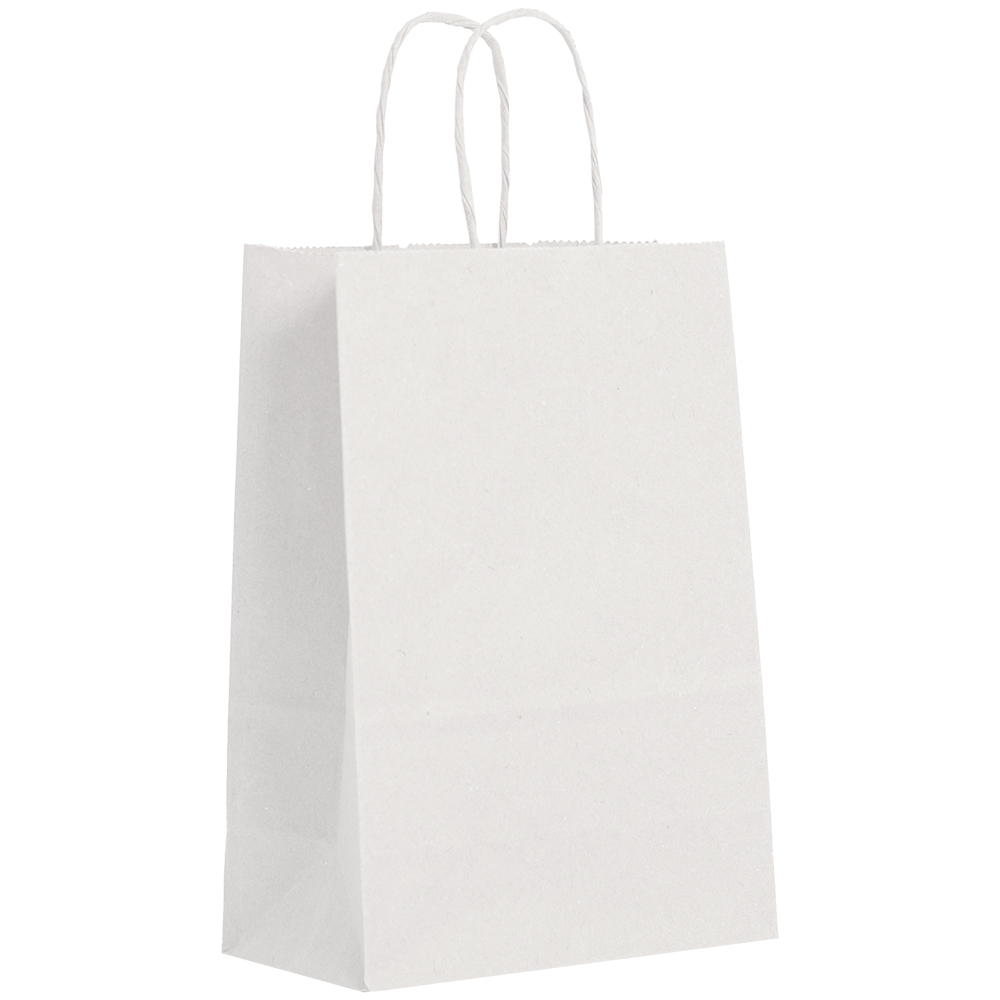 BOLSA PAPEL BRANCA COM ALCA P 26X21X9