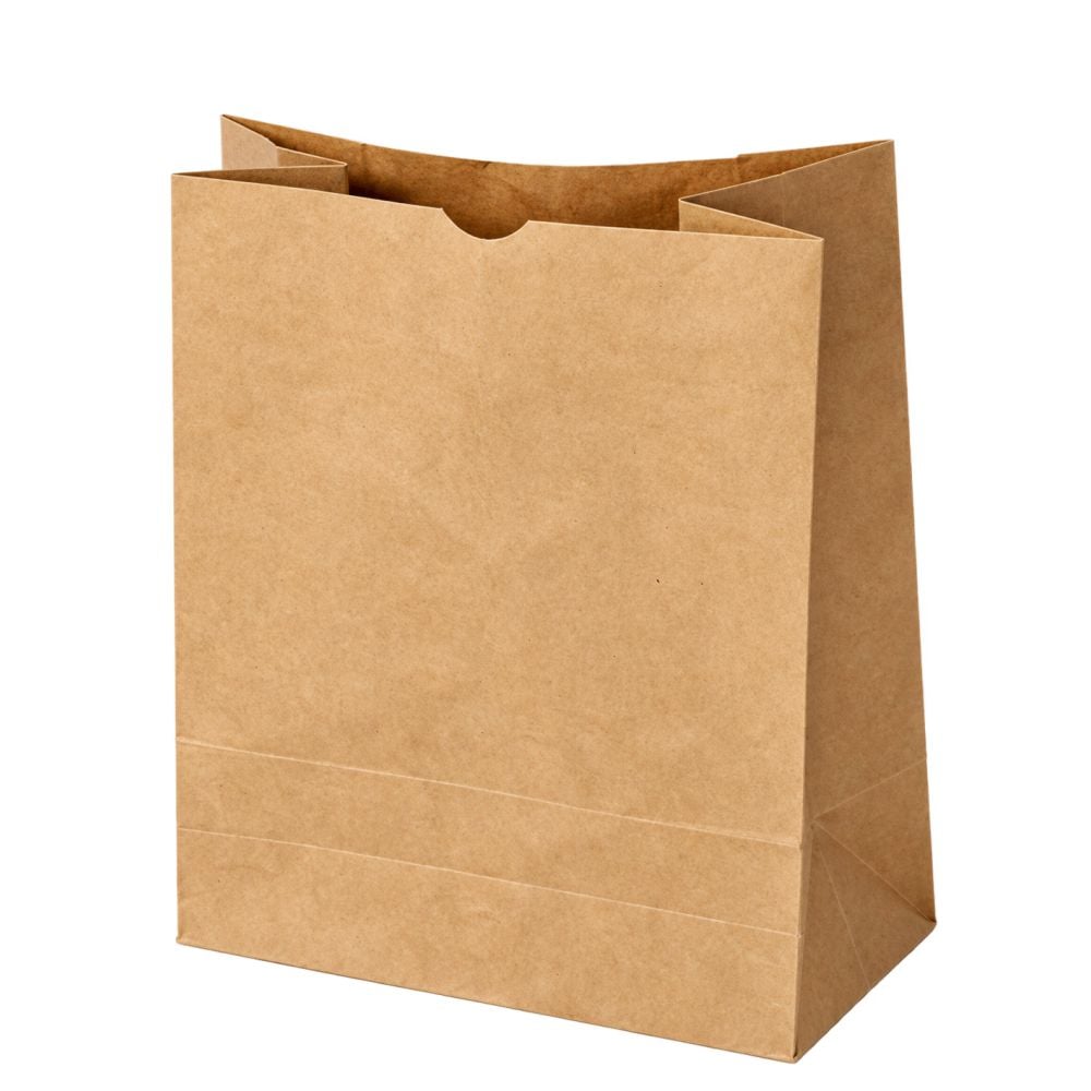 SACO PARA LANCHE LISO M 10KG 22X12X34
